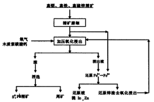 高銦高鐵高硫鋅精礦的浸出新方法