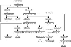 濕法綜合回收銀陽(yáng)極泥直接提純金的方法