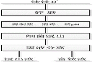 鈦鐵礦的微生物浸出方法