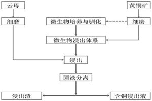 利用云母促進(jìn)黃銅礦微生物浸出的方法