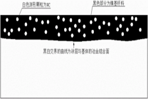 以高分子材料為骨架的粉末表面冶金強(qiáng)化的工藝方法