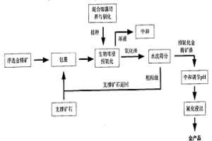 低品位難選冶含金礦石或精礦生物預(yù)氧化處理工藝