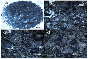 高溫膠真空封裝鐵焦后定量分析表面氣化反應(yīng)的方法