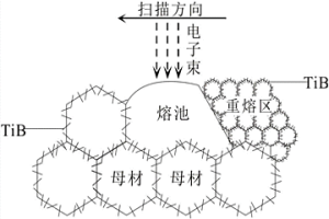 TiBw/TC<sub>4</sub>復(fù)合材料表面納米重熔層及其制備方法