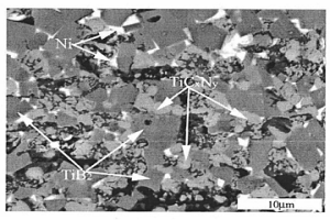 (TiCxNy-TiB2)/Ni陶瓷-金屬復合材料及其制備方法