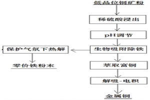 低品位礦有價(jià)金屬浸出-生物吸附-電積濕法冶金工藝