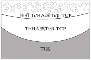 表面多孔鈦基功能梯度材料及其制備方法