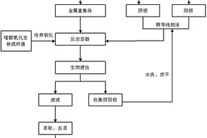 利用石墨烯修飾的碳布電極體系提高微生物浸出廢舊線路板中金屬銅的方法