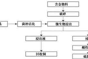 兩步法從廢棄電子物料中回收銅和金的方法