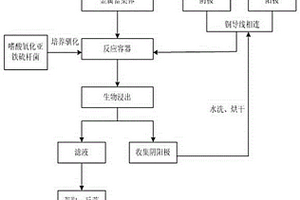 利用NCNTs修飾碳棒電極提高微生物浸出印刷線路板中銅效率的方法