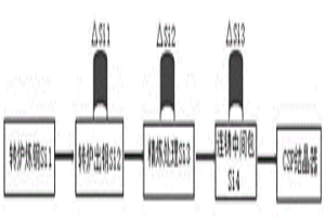 用于CSP生產(chǎn)中鋼水夾雜物的快速評估方法