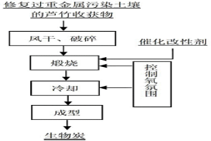 修復(fù)過重金屬污染土壤的植物蘆竹資源化利用的方法