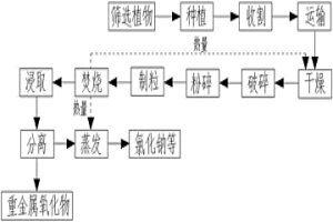 從重金屬污染土壤中生物法回收重金屬的工藝