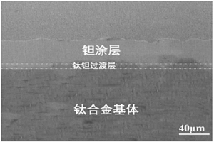 表面包覆鉭涂層的醫(yī)用多孔鈦或鈦合金材料的制備方法