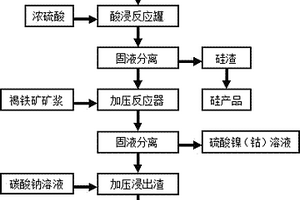 通過聯(lián)合浸出工藝從紅土鎳礦中回收鎳、鈷、鐵和硅的方法