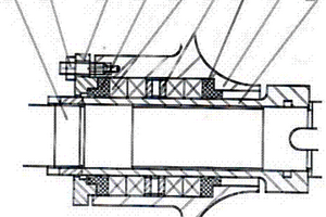 單級(jí)雙吸離心泵的泵軸填料密封裝置