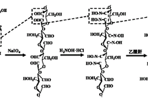 2,3-二氰基納米纖維素及其制備方法與應(yīng)用