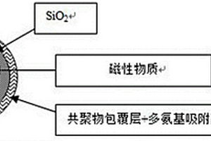 磁性固體多氨基吸附劑顆粒材料、制備方法及其應(yīng)用