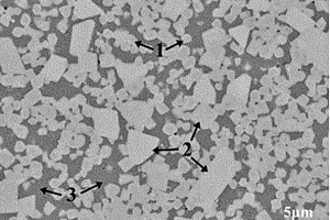 具有雙尺度雙形態(tài)硬質(zhì)相晶粒的Mo<Sub>2</Sub>FeB<Sub>2</Sub>基金屬陶瓷及其制備方法