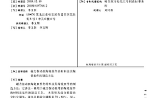 磁力驅(qū)動(dòng)泵陶瓷泵件的材料及其陶瓷泵件的制造方法