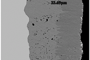 鈮合金用含NbB2/Nb3B2復(fù)合擴(kuò)散障的抗氧化涂層及其制備方法