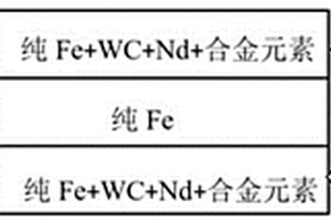 稀土附著碳化鎢顆粒增強(qiáng)鐵基表層復(fù)合材料的制備方法