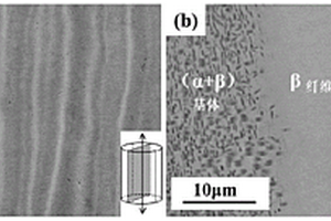 超高強(qiáng)異質(zhì)結(jié)構(gòu)鈦合金及其制備方法