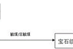 生命鉆石的制備方法