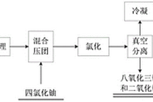 氯化法脫除乏燃料中稀土元素的方法