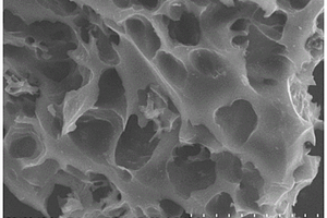 基于瓜皮的多孔碳材料及其制備方法與應用