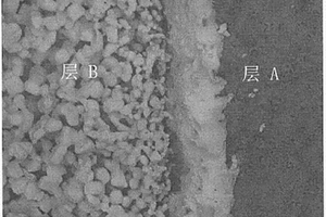 雙層負(fù)溫度系數(shù)熱敏電阻及其制備方法