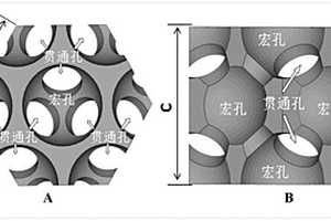 基于3D打印的骨誘導(dǎo)磷酸鈣陶瓷及制備方法和應(yīng)用