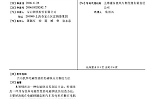 具有優(yōu)異電磁性能的電磁鋼及其制造方法