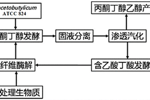 減少丙酮丁醇乙醇發(fā)酵廢液排放的方法