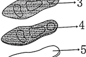 新型材料保健鞋加工工藝