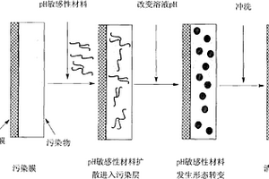 反滲透/納濾膜污染的強化清洗方法