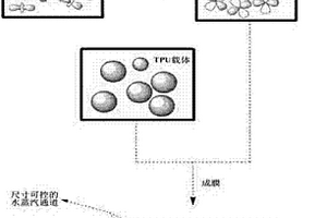 智能防水透濕膜及其制備方法