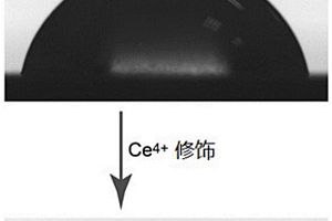 基于Ce<sup>4+</sup>的表面修飾塑料模板的制備方法及其應(yīng)用