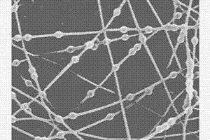 微納米尺度下核殼結(jié)構(gòu)復(fù)合纖維及其制備方法