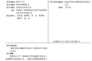 碳納米管負載磁性四氧化三鐵納米粒子的制備方法