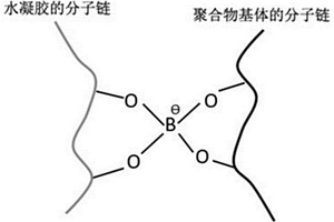 聚合物功能材料及其制備方法、應(yīng)用