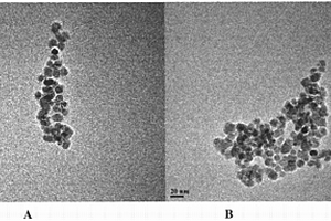 環(huán)糊精接枝聚馬來酸酐磁性納米粒子的制備方法