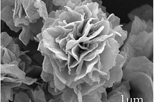 形貌可控的Fe<sub>3</sub>O<sub>4</sub>納米材料的制備方法