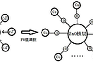 ZnO-CuO核殼結(jié)構(gòu)量子點(diǎn)/納米晶及其制備方法