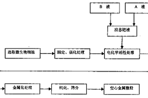 以微生物細(xì)胞為模板的空心金屬微粒及其制備方法