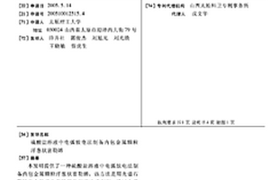 硫酸鹽溶液中電弧放電法制備內(nèi)包金屬顆粒洋蔥狀富勒烯