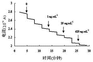 通用型抗生素檢測(cè)傳感器的制備方法及其應(yīng)用