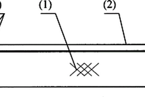 用于高密儲(chǔ)能器的3D石墨烯電極、制備及應(yīng)用