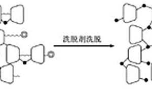 水溶性網(wǎng)絡(luò)狀環(huán)糊精交聯(lián)聚合物及其凈化有機(jī)廢水的方法