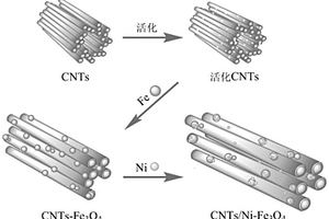 CNTs/Ni-Fe<Sub>3</Sub>O<Sub>4</Sub>功能材料的制備方法